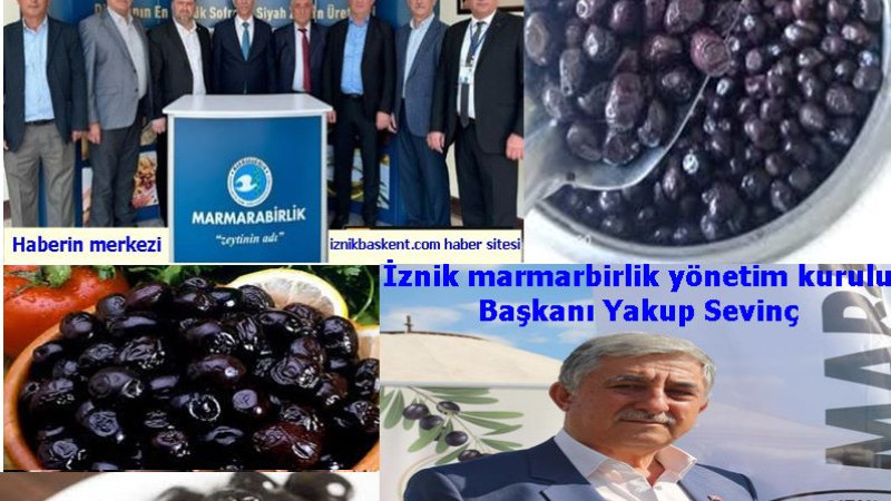 -İznik Zeytin Tarım Satış Kooperatifi rekolte beyan alımlarına başladı.