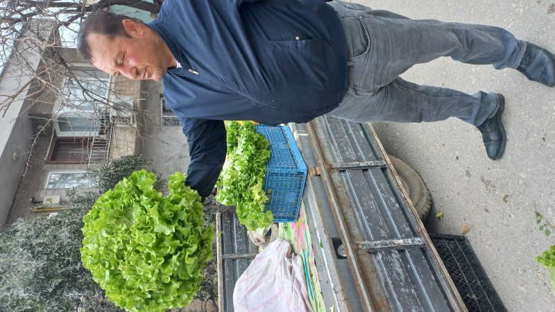 İznik’te çiftçi 3kğ Marul yetiştirdi.